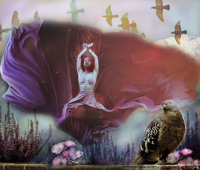 的表现扩展 的表现扩展