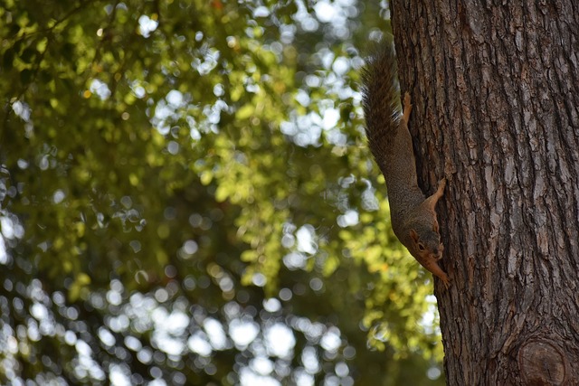 凭借多点开 凭借多点开
