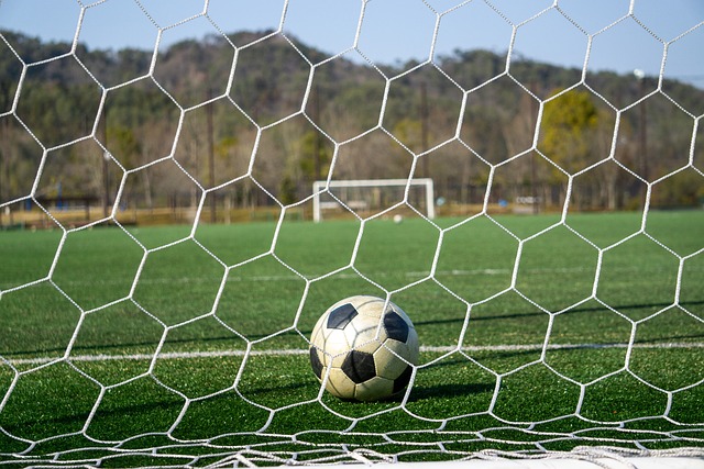 也提升了其 也提升了其