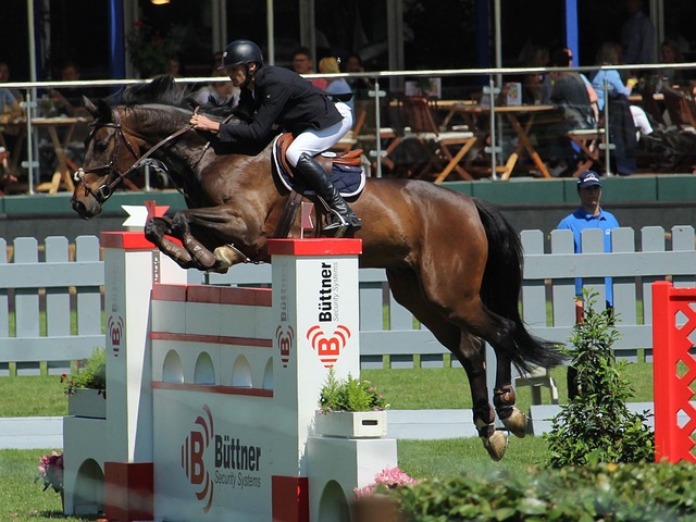 場節奏的能 場節奏的能