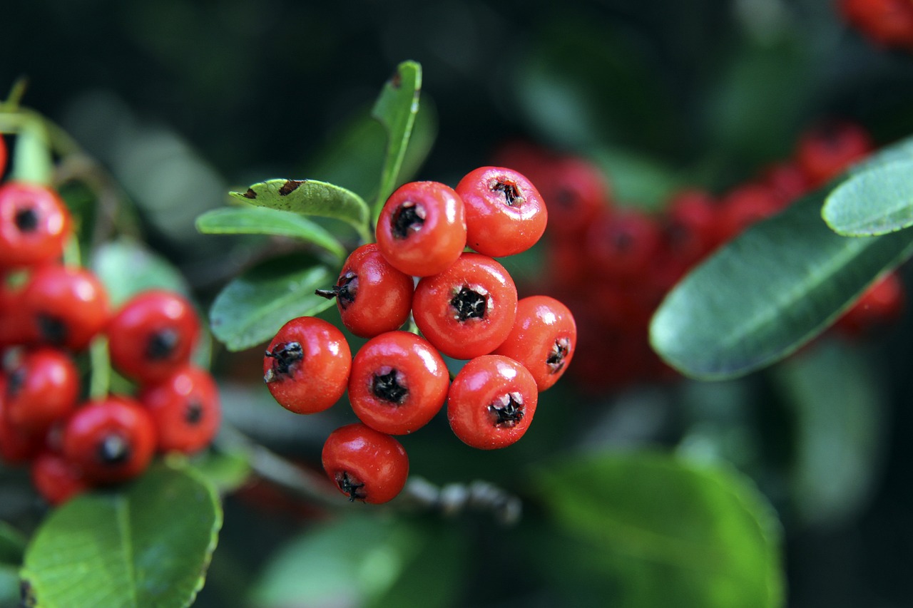 更大的压力 更大的压力