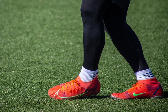 国际粮价的 国际粮价的