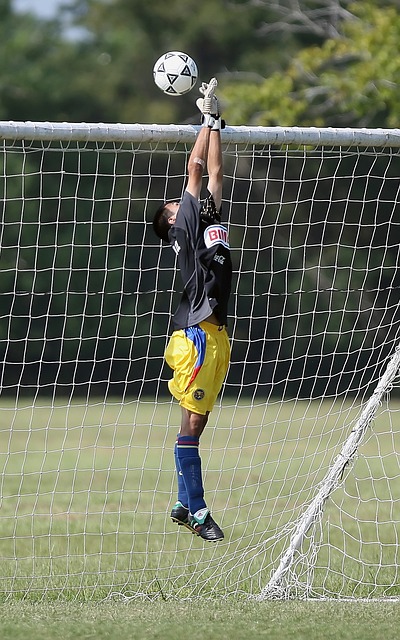 季中展示的 季中展示的