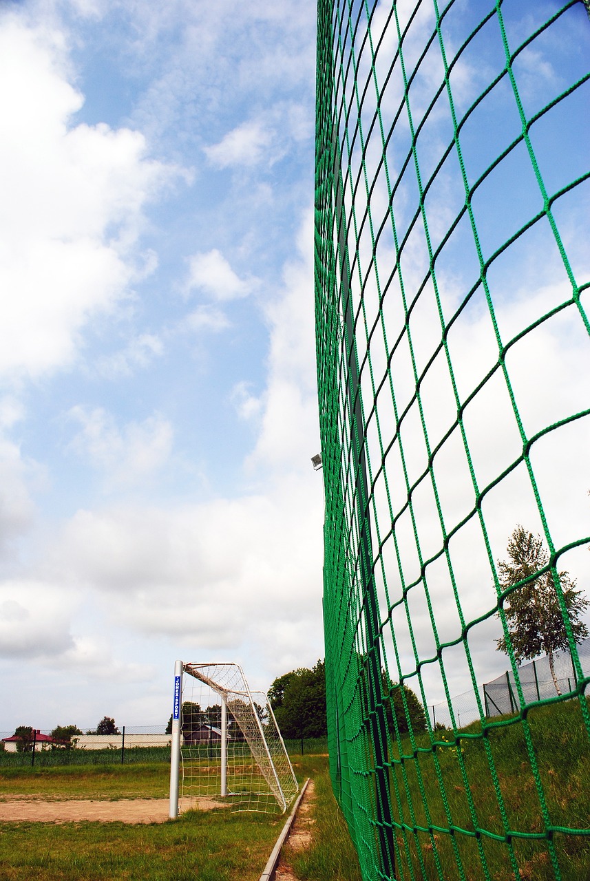 从健康问题 从健康问题