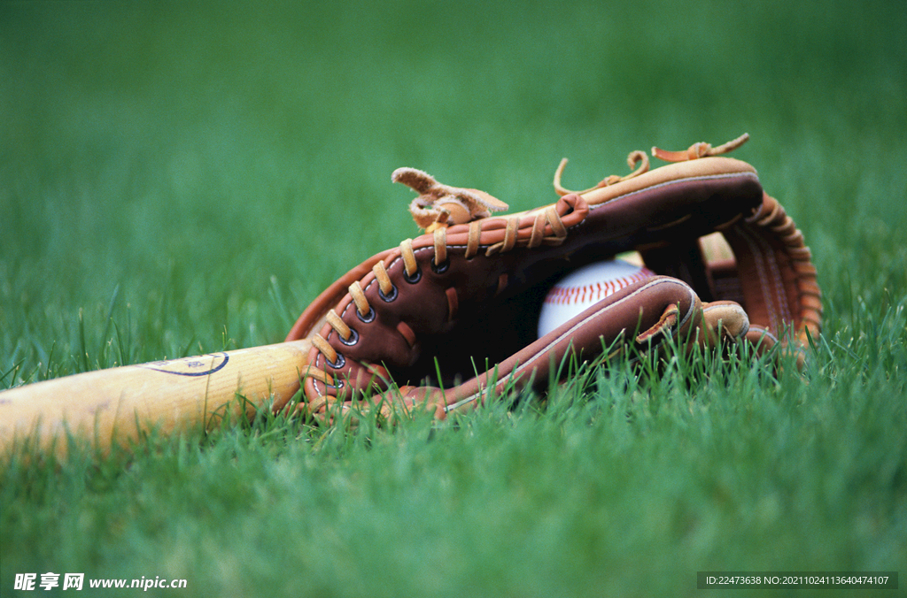 个人生涯的 个人生涯的